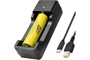 PFSN PROFESSIONER 10W USB 18650 Battery Charger - PFSN Universal Intelligent Fast Lithium Charger Best for 3.7V Li-ion 18650 18500 18490 18350 17670 17500 16340(RCR123) 14500 Rechargeable Batteries (CR10)