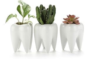T4U Zestaw 3 doniczek na sukulenty, doniczki w kształcie kaktusa, małe ceramiczne dekoracje na rośliny, bonsai, ołówki, białe, do domu, biura, biurko, urodziny