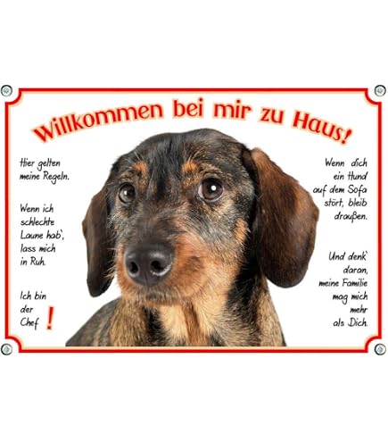 Metall-Schild „Dackel“ Von Nanyuk – Warnschild Für Garten Oder Haus, 30,5 X 20 Cm, Aluminium
