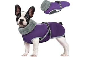 MHaustlie Abrigo para Perro Impermeable De Invierno, Abrigo para Perros Chaqueta cálida con Tiras Reflectantes, Abrigo de Invierno para Perros con Forro Polar Cálido, Chaleco para Perros(M, Morado)