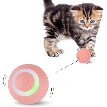 Amazon.de Bestseller: Die beliebtesten Artikel in Interaktives Spielzeug  fr Katzen