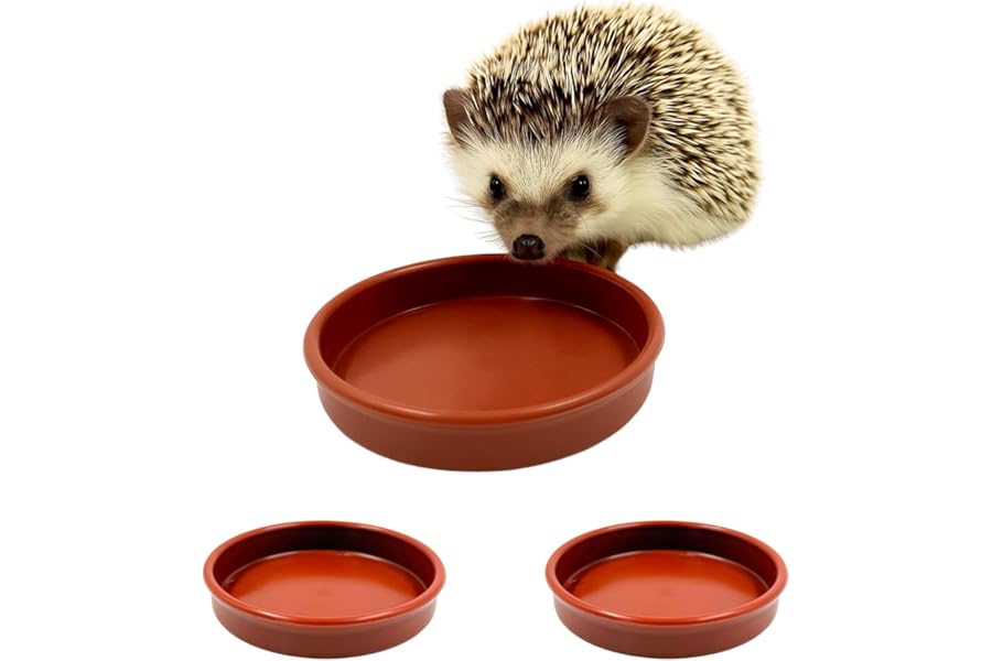 Hedgehog Bowl for Food and Water (Pack of 3) Hedge Hog Feeding Bowls Outdoor Wildlife Garden Dishes 13cm Wide, Low-Profile 2cm Deep Design
