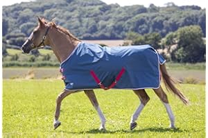 Shires Tempest Original Lite Turnout Rug - Teal