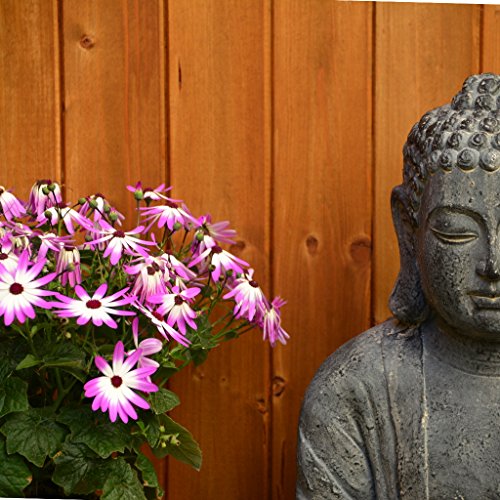 Buddha Statue XXL 58cm Dekoration Wohnzimmer Deko Figur - 3