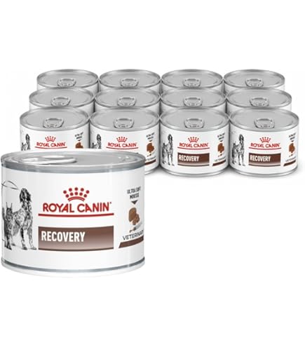 ROYAL CANIN Veterinary Recovery Liquid Double Pack 2 x 3 x 200 ml Liquid  Diet Food for Dogs and Cats for Enteral Nutrition High Energy Content :  Amazon.nl: Pet Supplies