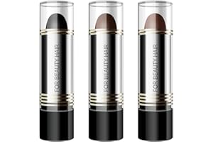 DUBBULON 3Pz Penne Per Ritocchi Tinture Per Capelli - Penna Per Coprire I Capelli Con Tubo Per Rossetto Per Colorazione Rapida | Impermeabile, Duraturo, Colore Naturale | Unisex, Abbellisci Modifica La Fronte