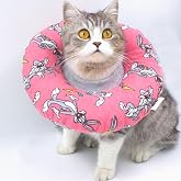 Lepus Kedi K&ouml;pek Yakalık Pembe Small No:6
