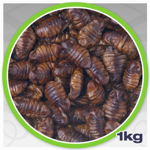 Petsworth & Sons Seidenraupen getrocknet 1,0 kg netto - ideal als z. B. Koifutter oder Fischfutter - Proteinfutter in Spitzenqualität zum kleinen Preis!