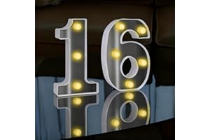 SRVILLG LED Light Up Numbers Sign, LED Number Lights, Cool & Warm Light up Numbers for 16th Birthday Decorations, for Birthday Party Night Lights Anniversary Backdrop Home Decor (White-16)