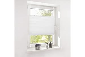 ‎DESWELL Deswell Pleated Blind, No Drilling Klemmfix White, W 110 x H 120 cm, Pleated Blind, Sun Protection and Privacy Screen, Easyfix Pleated Blind, Translucent Roller Blind for Windows and Doors