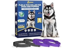 YOTANGO Collare Antiparassitario per Cani, 4 Pezzi Collare Antipulci Cane, Naturale Collare Cane Antiparassitario, Regolabile 32 Mesi di Protezione Antizecche per Tutti i Tipi di Cani(Nero&Viola)