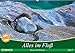 Produktbild Alles im Fluss - Steine und Wasser (Wandkalender 2017 DIN A2 quer): Abstrakte Natur-Kunst aus dem Verzasca-Tal im Tessin (Monatskalender, 14 Seiten ) (CALVENDO Natur)