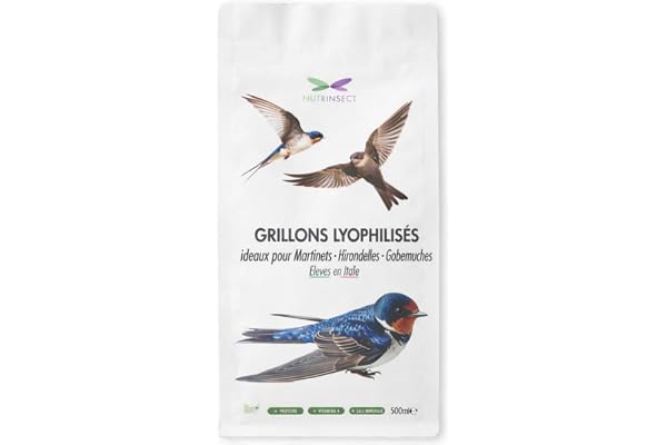 Grillons Lyophilisés 500 ML Insectes Comestibles Riches en Protéines Nourriture Oiseaux Alimentation Naturelle idéale pour Les Oiseaux Insectivores