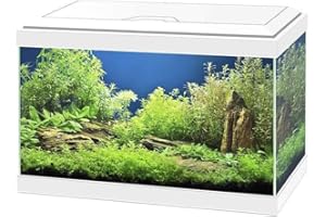 ASKOLL Acquario Aqua 20 bianco 40x20x31 con led e filtro 17 litri