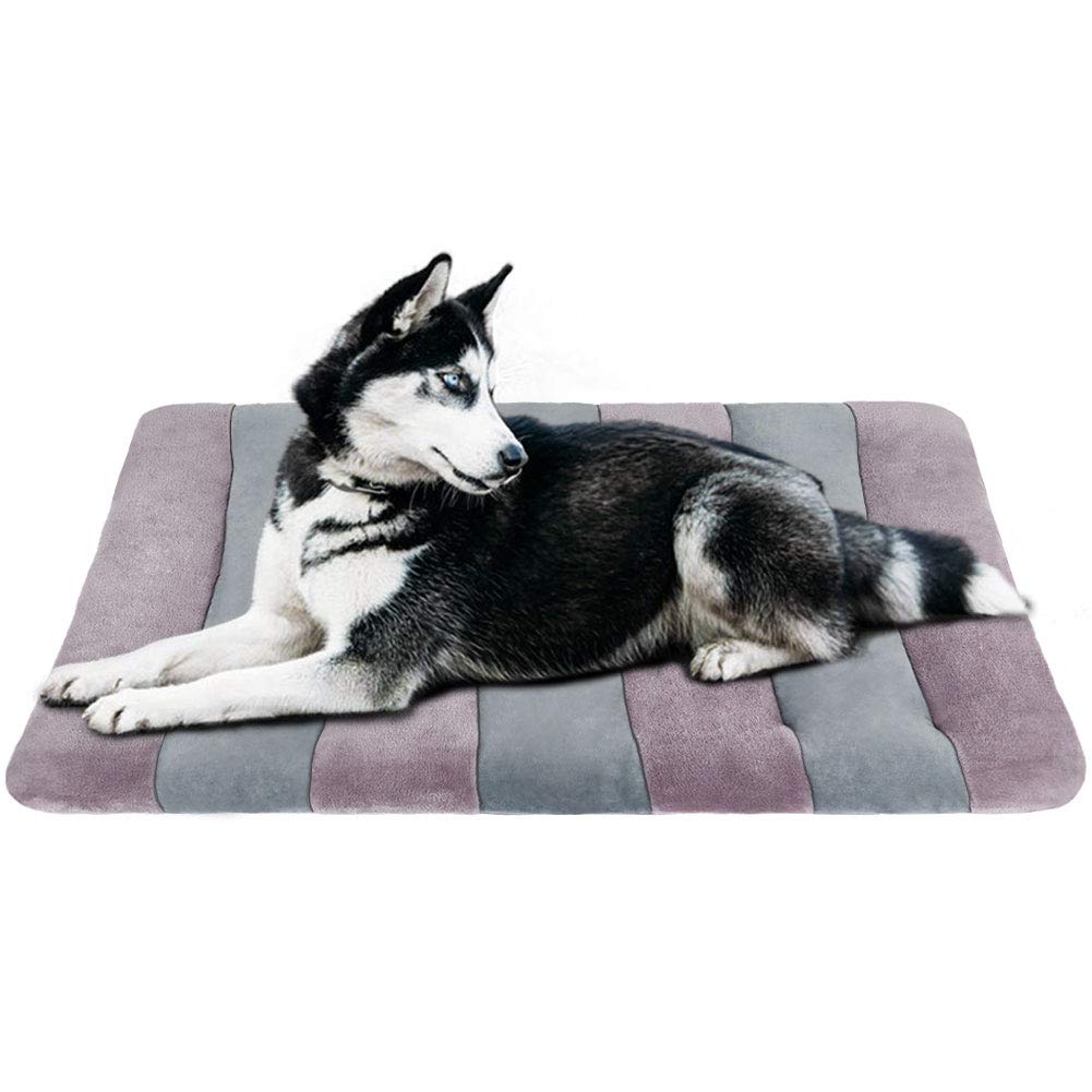 joicyco dog bed