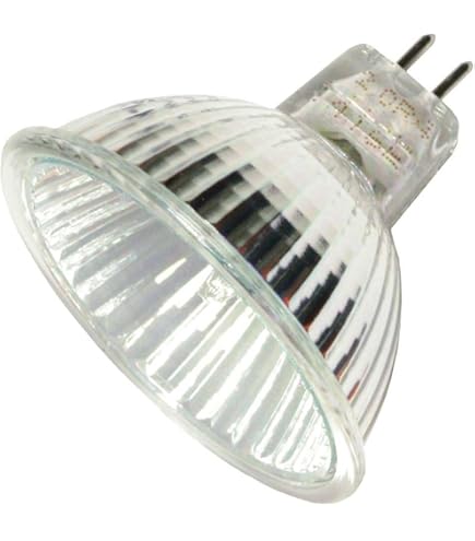 REPLACEMENT BULB FOR EUMIG P8 100W 12V REPLACEMENT BULB FOR EUMIG P8 100W 12V