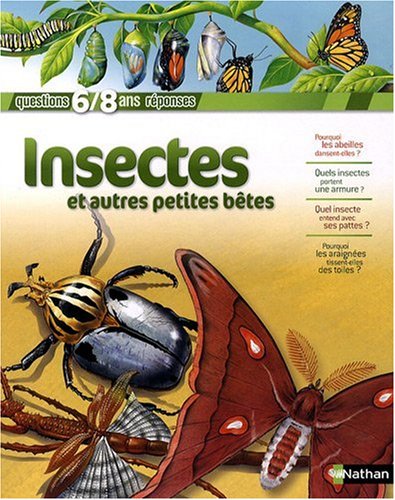 couverture de : Insectes et autres petites b&ecirc;tes