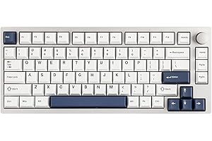 EPOMAKER P75 Tastiera Meccanica in Alluminio, Wireless/Bluetooth5.0/2.4GHz/USB-C Hot-Swap Keyboard RGB, Guarnizione per Tastiera Thocky per PC/Tablet/PS/Xbox (Silver White, Wisteria Tactile Switch)