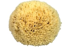 TENET Spugna Naturale del Mediterraneo per il Corpo, Non Sintetica (11-12 CM con CORDINO)