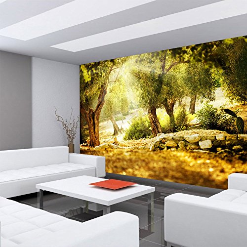 Fototapete Wald – ALLE WALDMOTIVE auf einen Blick ! Vlies PREMIUM PLUS – 200×140 cm – SUMMER TREES – Wald Sonne Steine – no. 265 - 6