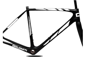 DualColorStampe Juego de 10 pegatinas adhesivas para cuadro de bicicleta, pegatinas para cuadro de bicicleta MTB, protección universal, cód. B0170 (blanco mate)