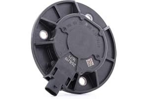 ‎INA INA 427 0034 10 Zentralmagnet, Nockenwellenverstellung