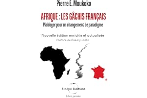 Afrique: Les gâchis français: Plaidoyer pour un changement de paradigme