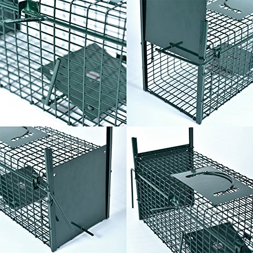 Lebendfalle 53 x 19 x 19 cm mit 2 Eingängen Drahtfalle / Rattenfalle mit Bissschutz & Trittbrett professionelle Tierfalle mit Rahmenverstärkung Türsicherung sofort einsatzbereit & pulverbeschichtet - 6