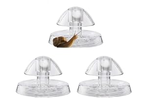Besimple Lot de 3 boîtes à escargots en Plastique pour Aquarium 8 cm