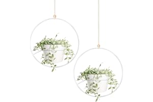 Mkouo Boho Plantes suspendues, Lot de 2 Cintre Rond en métal pour Plantes avec Pot en Plastique, Jardinière Moderne pour Murs Pot de Fleur, Convient aux jardinières de 15cm, Blanc (Pots Inclus)