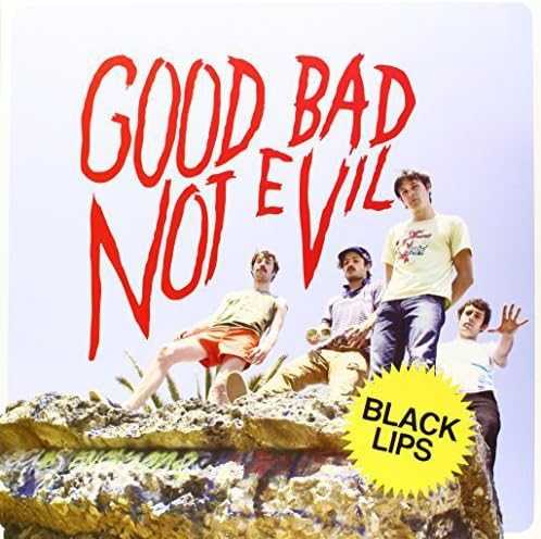 Good Bad Not Evil [VINYL]