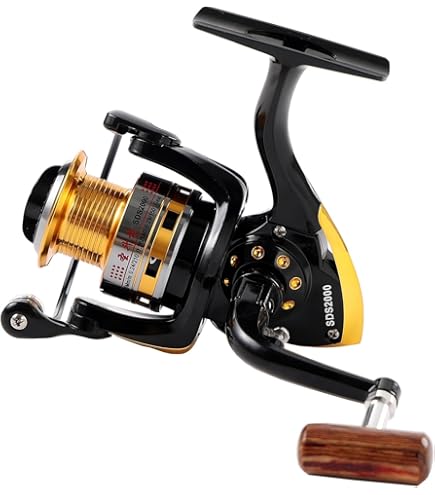 8K SURF : Amazon.ie: Sports & Outdoors 8K SURF : Amazon.ie: Sports & Outdoors