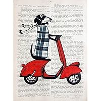 ENGLISHMAN DOOXIE 101