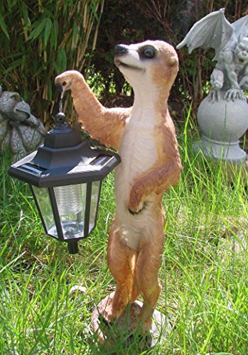 XL Erdmännchen Eddy mit Solarlaterne Figur Gartenfigur 40 cm - 5