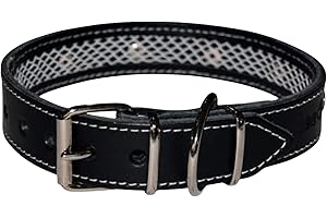 TUYNEC - Collier pour Chien avec Filet de Protection pour Collier Anti Puces pour Chien, Collier Chien Fait Main en Cuir de Haute Qualité Qui Protège et Prolonge la Durée du Antiparasitaire Chien