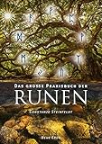 Das große Praxisbuch der Runen by Constanze Steinfeldt, Thomke Meyer