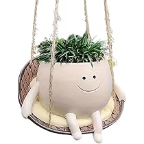 2 Schwingende Smiley-Blumentöpfe Zum Aufhängen – Für Sukkulenten & Kleine Pflanzen, Aus Kunstharz, Indoor/Outdoor