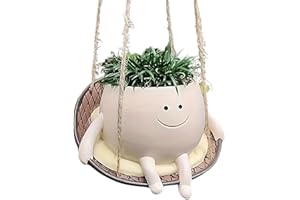 JJIW Hanging Basket with Swing and Smile Face, Hanging Pot for Plants for Succulent Flowers (Style 2)