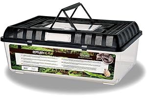 Reptiles Planet - Repti Box XL - Boite de Transport en Plastique avec Couvercle Amovible - 42 x 26 x 16 cm
