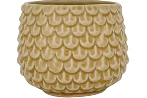 Nordring Vaso Pino - per Fiori da Interno e Piante da Interno, Piante grasse, Cactus, Orchidee S (9,5 cm ø), Avorio-Giallo, Ceramica Gres