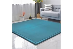 SETHEPACE Coral Velvet Baby Play Mat, 1.2'' Thick Nursery Rug for Crawling & Playing, Anti-Slip Play Crawling Mat for Toddlers & Infants, Baby Mat For Floor(Blue, 100 * 200CM/39.37 * 78.74INCH)