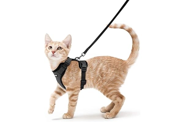 cat shock collar amazon