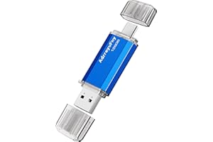 ADRREYUFNY Memoria USB C 128GB, 2 en 1 OTG Tipo C Pendrive 128 Gigas USB 2.0 Flash Drive Portátil Pen Drive Mini USB Stick para Smartphones, Tabletas, PC, Almacenamiento DE Datos Externo Etc (Azul)