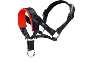 ILEPARK Dog Head Collar with Soft Fabric, Headcollar for Dogs, Anti pulling Head Halter Collar, Adjustable and Easily Control (L,Red)