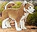 Produktbild Kösen 6590 Shiba-Inu, 37 cm, stehend, Handmade in Germany, Plüschtier