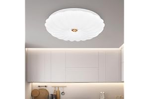 VIPMOON 18W Ceiling Lights, Flush Mount Ceiling Light for Hallway, Kitchen, Bathroom, Office, Passage, Cupboard, Toilet, Bedroom, 6500K Daylight Round White Shell LED Ceiling Lighting