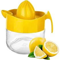 DESTALYA Presse-Citron Manuel En Verre Cristal - Extracteur Jus Avec Bec Verseur