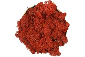VERDE STABILIZZATO Lichene stabilizzato sfuso da 250g/500g - 100% naturale vivo conservato - vari colori - per decorazioni, modellismo, terrario, parete (Rosso, 250g)