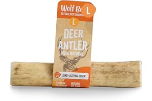 WOLF BELLY NATURAL PET GOODNESS Wolf Belly - Asta de Ciervo para Perro Natural (Talla L) Mordedor Seguro y Duradero | Reduce Sarro y Placa | Rico en Calcio y Proteínas | Calma Estrés y Ansiedad | Bajo en Grasas - Hecho en España