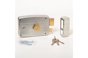 CISA - Serrure de porte en fer à appliquer 15057160179 - Serrure en acier galvanisé avec cylindre et cadre de poignée passant - Serrure de porte extérieure Entrée 60 - Main Droite Appliquer